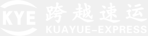 跨越速运集团有限公司